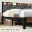 Lit rembourré Rondions-1259516445