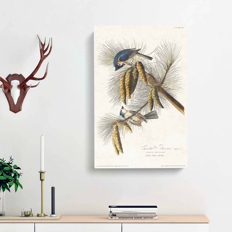 Crested Titmouse Birds by John James Audubon - Wrapped Canvas, 76cm H x 50cm W x 3cm D