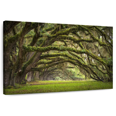 Harnek Oak Tree Lane