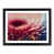 Black Framed selected