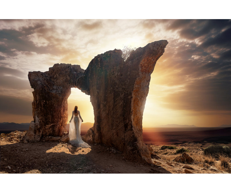 Wrapped Canvas Print