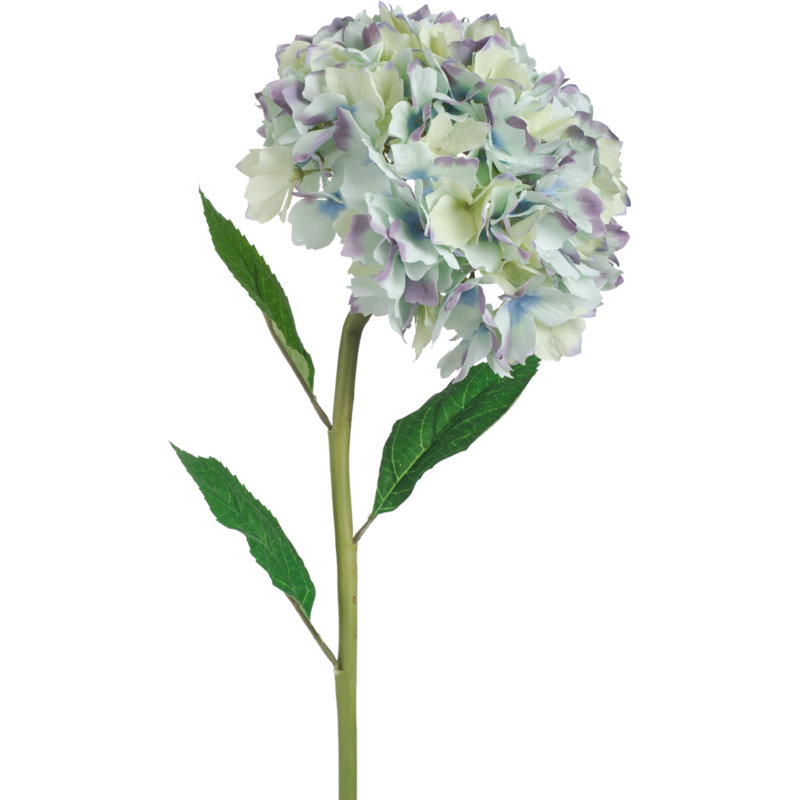 Hydrangea Arrangement, Blue