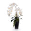 Real Touch White Orchid Flower  Arrangement in Black Pot