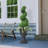 52" Topiary Spiral Boxwood Artificial Tree