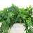 Ivy Bunches in a Ceramic Vase