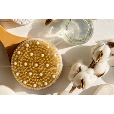 Noho Bamboo Brush - Wrapped Canvas Print