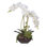 Real Touch Phalaenopsis Silk Orchids with Succulents Floral Arrangement in Planter