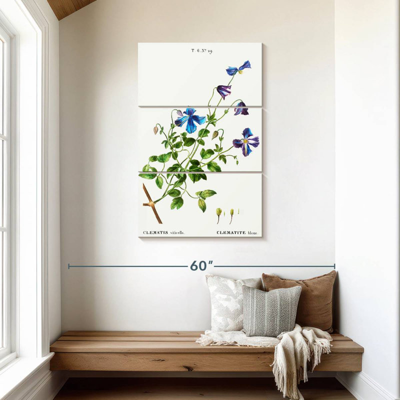 Harnek Clematis Viticella, 45" H x 28" W