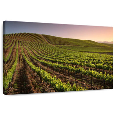 Alvord Carneros Winery