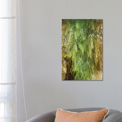 Green Tree by Beli - Wrapped Canvas Print