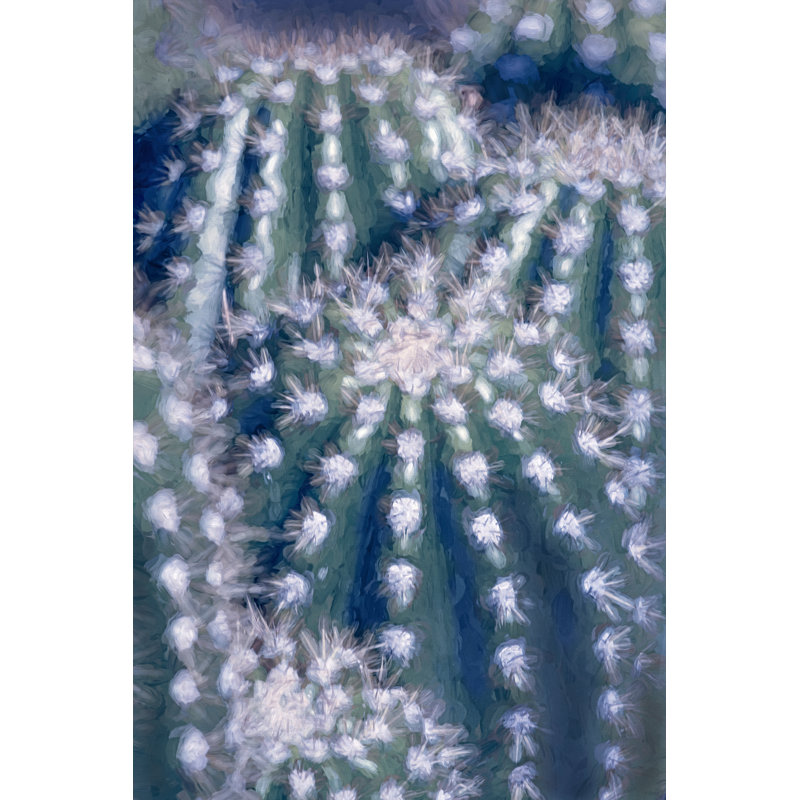 «Hedgehog Cacti Collective On Canvas» par Leda Robertson, reproduction, H 18 po x l 12 po