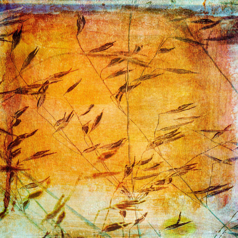 Sia Aryai - Wrapped Canvas Painting, 81cm H x 81cm W x 3.81cm D
