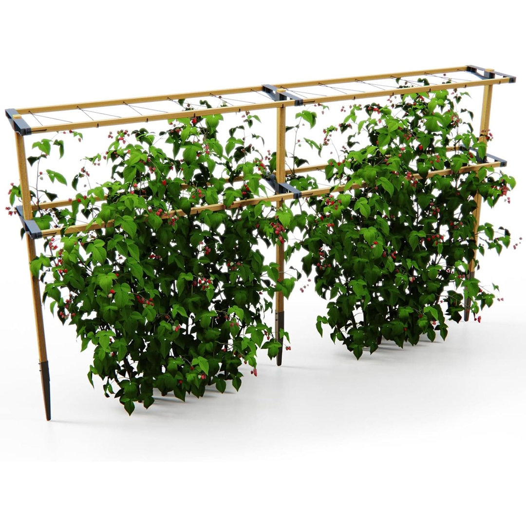 Berry Buddy Flexible and Expandable Wooden Trellis, Climbing Plant Support for Blackberries or Blueberries (240 cm)
