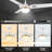 Yeliz 52'' Ceiling Fan with LED Lights