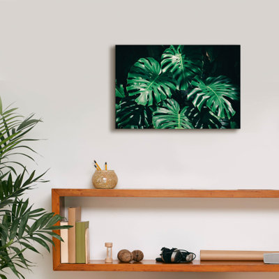 «Tropical» par PhotoINC Studio