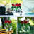 Red rose figurine decoration