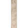 Haydel Oriental Machine Washable Power Loom Polyester Area Rug in Beige