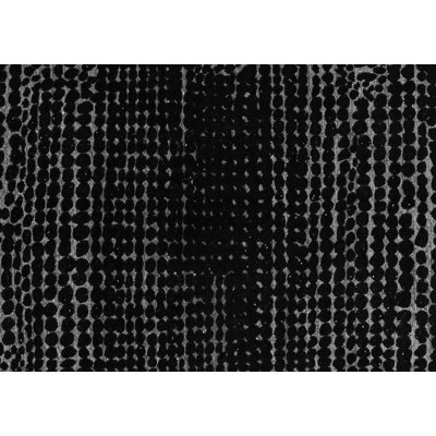 Yanaira Performance Ombre Indoor Rug