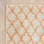 Tapis à poils longs Sg-MSG-Moroccan-18991955