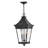 Chapel Hill Museum Black 3 -Bulb 26" H Outdoor Hanging Lantern