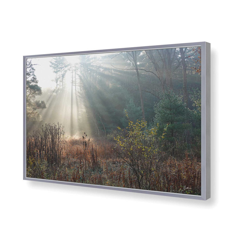 «The Sunlight Above» par Lori Deiter, reproduction d'art, Argent, L 12 po x H 8 po, Impression encadrée