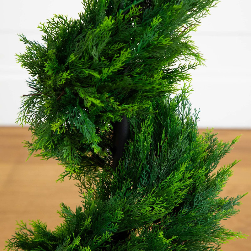 Cypress Spiral Tree, 48" H