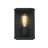 Santos Outdoor Wall Sconce in Black