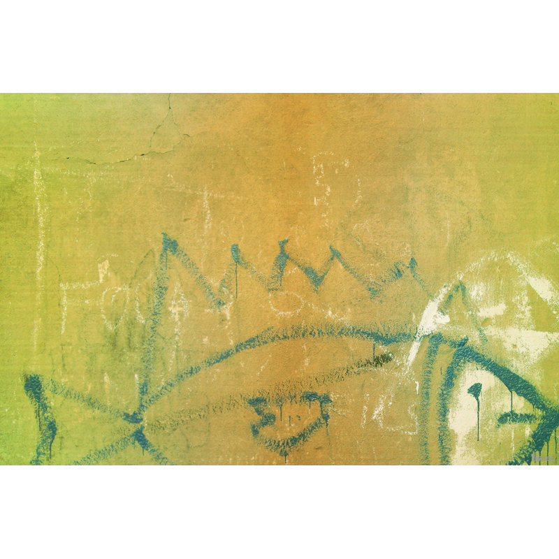 Parvez Taj - Wrapped Canvas Print, 76cm H x 114cm W
