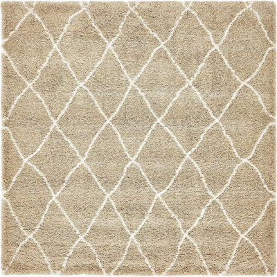Walsenburg Oriental Indoor Rug