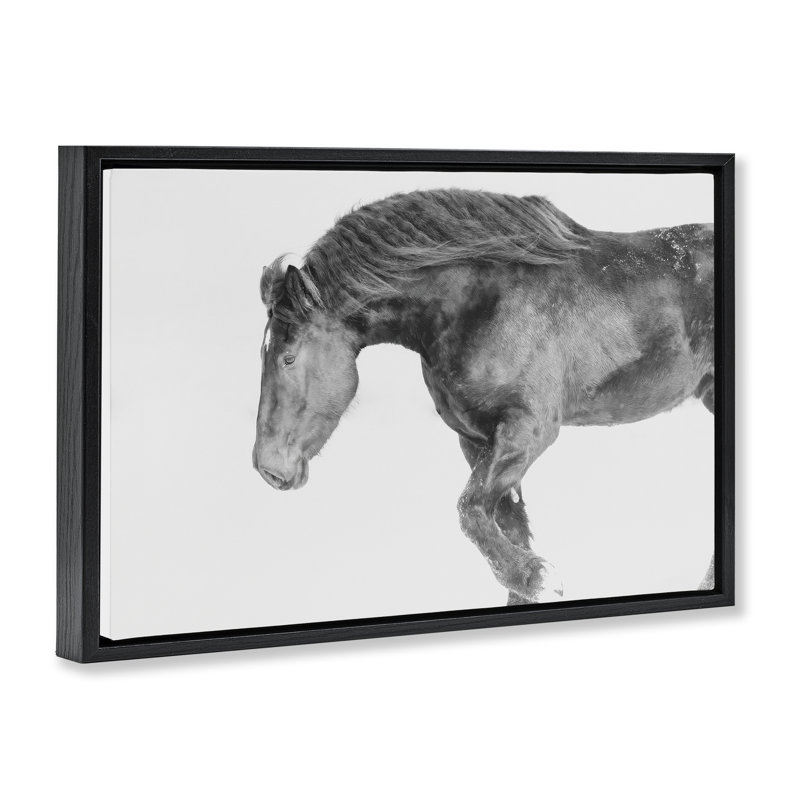 Cadre flottant Winter Stallion au galop, design par Amy Carroll, H 21 po x l 31 po, Cadre flottant noir de jais