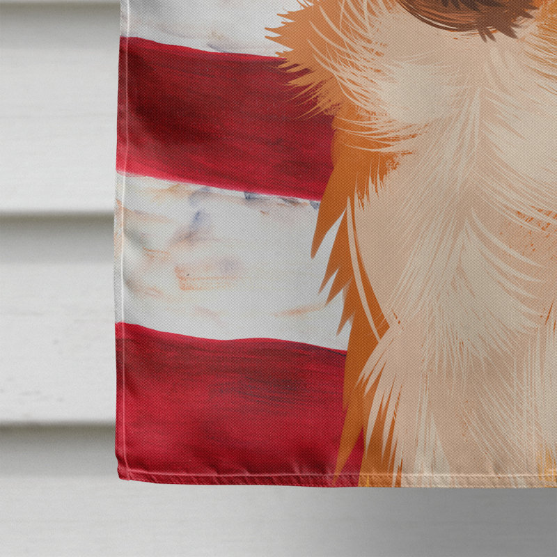 Polyester à 2 côtés 28 x 40 po drapeau maison, Alopekis