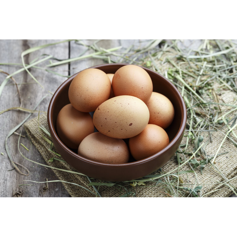 Fresh Eggs - Wrapped Canvas Print, 30cm H x 46cm W x 3.8cm D
