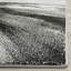 Tapis performance abstrait Acord-22458381
