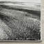 Tapis performance abstrait Acord-38057404