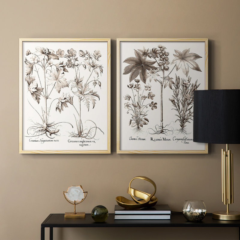 Impression encadrée sépia Besler Botanicals V-Premium - prête à être accrochée - aucun clou requis - aucun clou requis