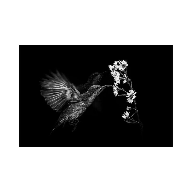 Motion by Andi Halil - Wrapped Canvas Print, 101.6 cm H x 66.04 cm W x 1.91 cm D