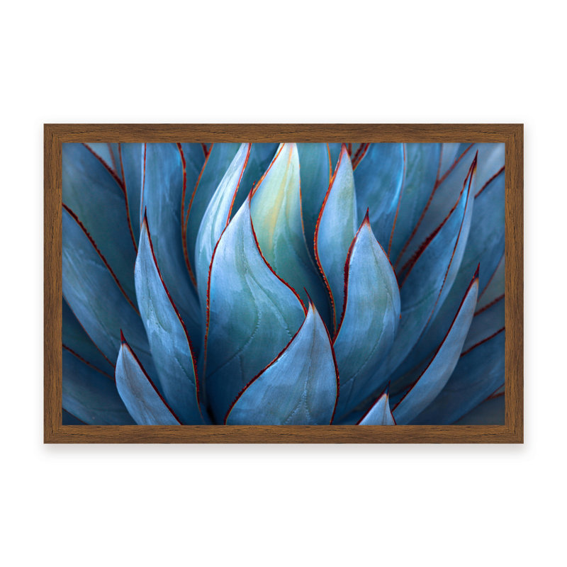 Nature Inspired Blue Agave Abstract by  - Picture Frame Graphic Art on Paper, 16" H x 24" W x 1.125" D, Framed Print, Gold