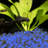 500-Count Glow-in-the-Dark Pebbles - Decorative Glowing Rocks for Flower Beds and Walkways-314024851