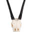 Wall Mounted Gemsbok Skull