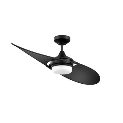 Annessia 52'' Ceiling Fan with LED Lights