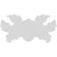 Rosette Geneva-32727438