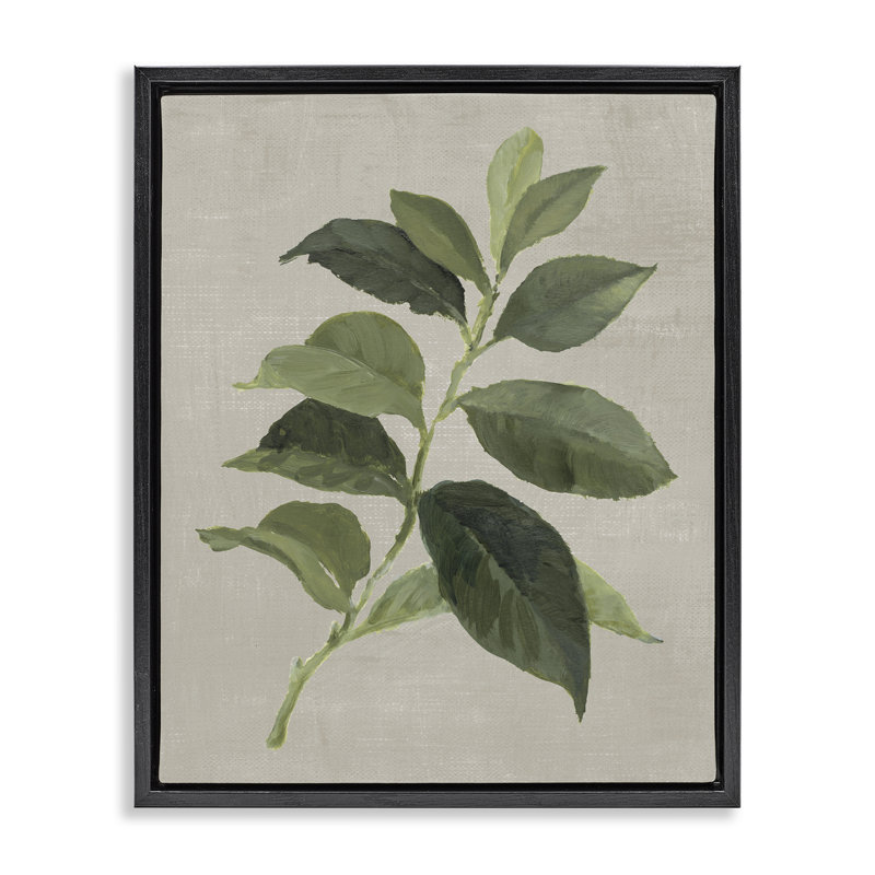 Cadre flottant Arabica Coffee Plant Leaf, design par Lanie Loreth, Cadre flottant noir de jais, H 21 po x l 17 po
