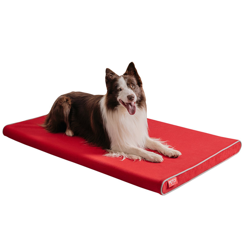 Orthopedic Microfibre Pet Bed, Red, Large (120cm W x 80cm D)