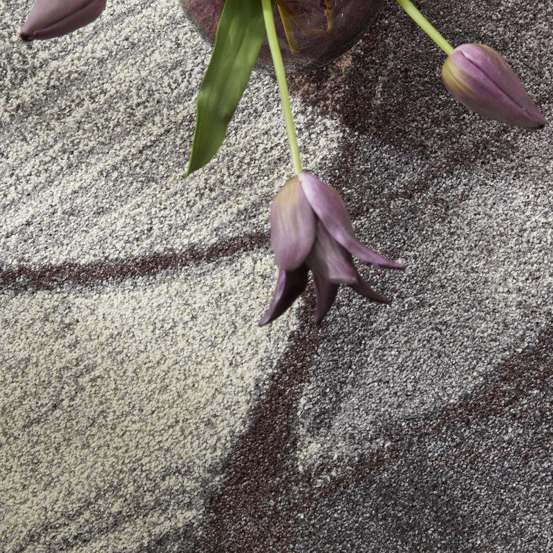 Plush Plum Area Rug, Rectangle 120 x 170 cm