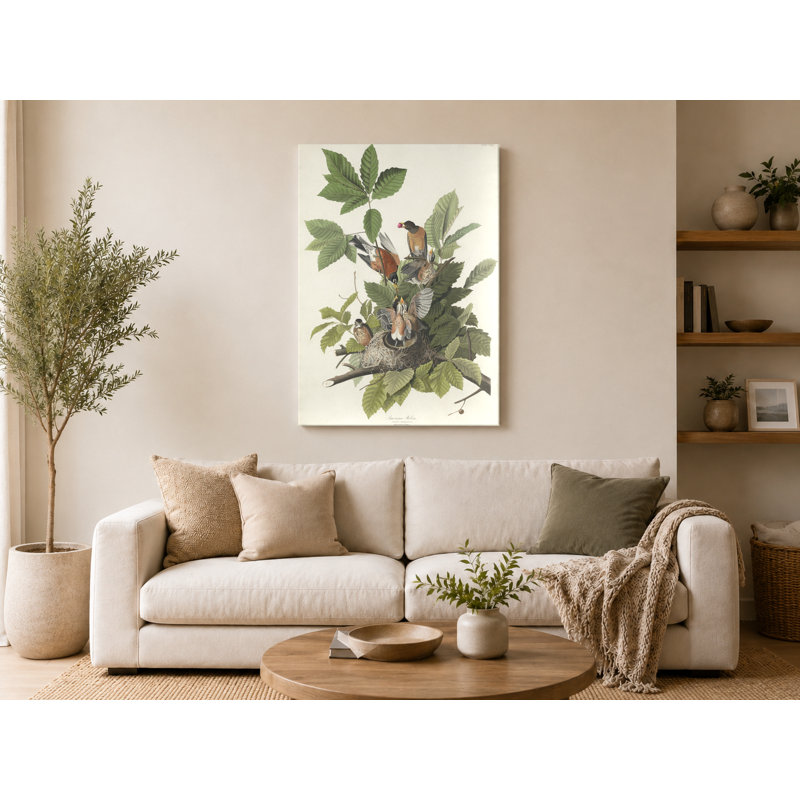 American Robin (1833) - Portrait, art mural sur toile, L 14 po x H 11 po