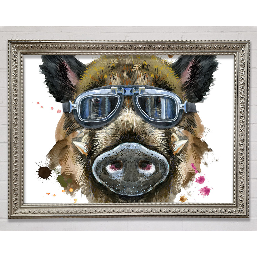 Das Wildschwein mit Brille - Einzelne Bilderrahmen Kunstdrucke