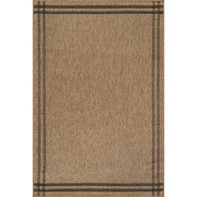 Indoor Outdoor Area Rug