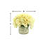 Hydrangea Floral Arrangement in French Labeled Vase