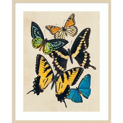 «Collage Butterflies II» par Victoria Barnes, impression sur bois encadrée