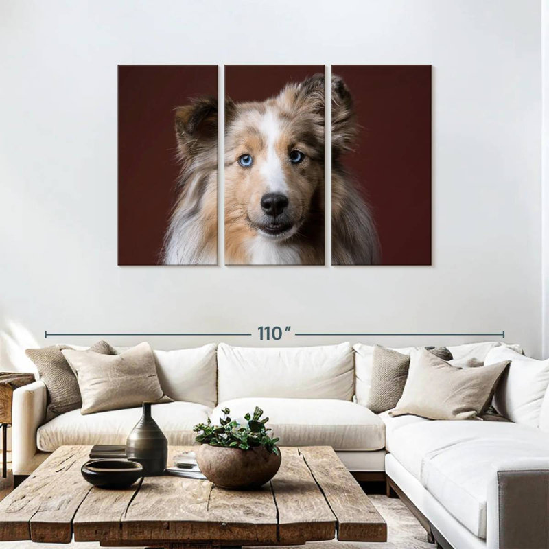 Adorable Sheltie Dog, 48" H x 74" W